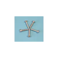 Vis M5 X20 pan TORX HD T-20 (par 5) (HAYWARD)