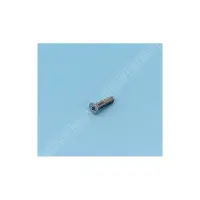 Vis M5x20mm BR 2" Liner/Préfa.à l'unité (POOL'S)