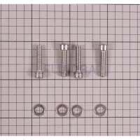 Vis moteur
