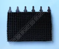 Brosses lamelles noires (x2)