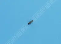 Buse de purge d'air Filtre SAB Azur Side
