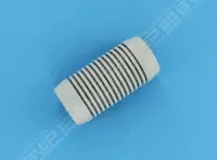 Cache (Gw 9500 Sta-Rite)