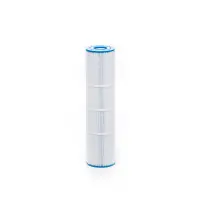Cartouche Coast Spas Top load (in-line) 100, Waterway Plastics