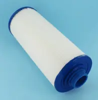 Cartouche Saratoga Spas Circulation Pump 289x121 vis MPT 38,1 mm