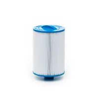 Cartouche Waterway Front Access skimmer 6CH-940 / Iberspa/Astral Pandora/Niagara