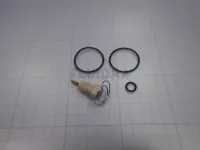 Eléctrodo Pt