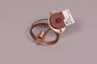 Interrupteur thermique manuel