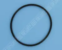 Joint de couvercle PPE 5P6R/SW5P6R/Intelliflo SW5P6R-VS