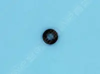 Joint OR 4,42x2,62 EPDM PPE pH Micro