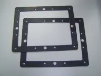 Joints de bride pour skimmer PM (x2)