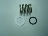 Kit ressort + joint + rondelles de vanne FLAT 1"1/2