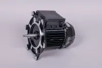 Moteur 0,75 CV Mono