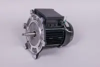 Moteur 1 CV Mono
