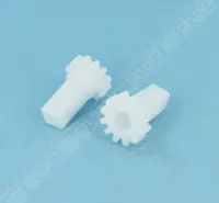Pignons de brosse CN (x2) RE4400IQ