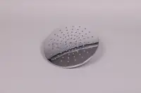 Pomme de douche rond inox