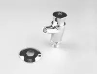 Robinet bouton poussoir de douche