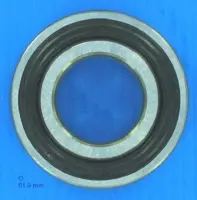 Roulement AR PPE Triton Jet - Tous Mod, Sauf 5,5 CV