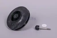 Turbine PPE Kivu 4,0 CV (60 Hz)