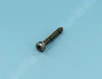 Vis autofileteuse, 7x48,4 mm A2