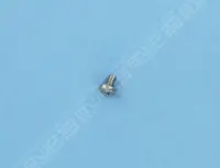 Vis de Maintien du clapet SK TE 5x8 inox A4