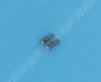 Vis Ss10-32X7/8 Pan M/S (x2)