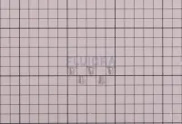 Visserie 2,2x6,5 mm (x5)