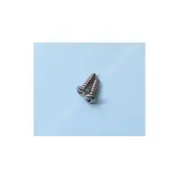 Vis 19 mm (3/4'')  pour Polaris 65/65T/165/165T. sachet de 2 unités (Polaris)