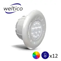 Projecteur LED Weltico Rainbow Power ELEGANCE 12 LEDs Couleurs - piscine béton + liner