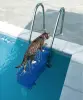 Escalier de sauvetage animaux AstralPool