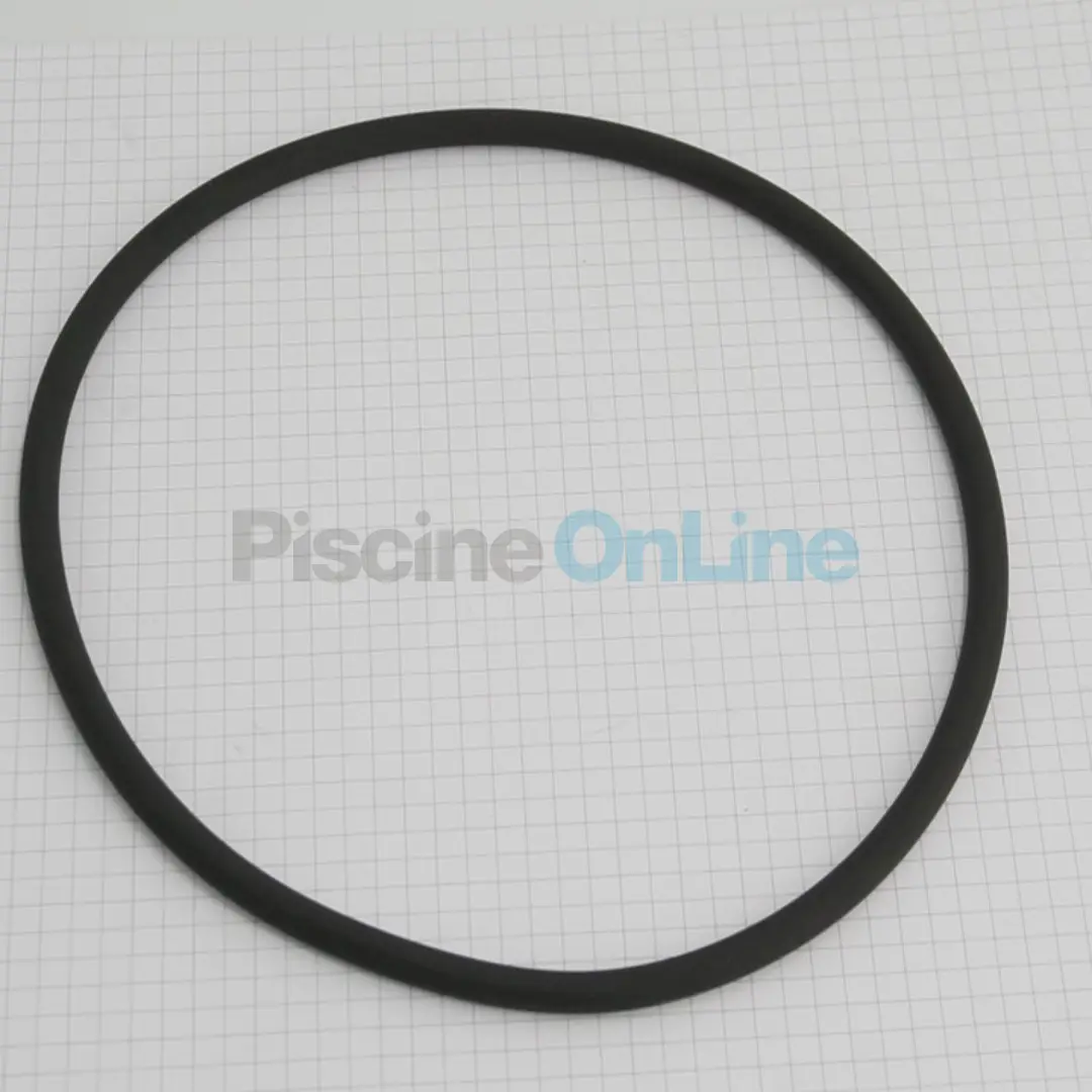 Joint De Couvercle Pour Pr filtre De Pompe Ultraflow R39300600 PENTAIR joint-de-couvercle-pour-pr-filtre-de-pompe-ultraflow-r39300600-pentair