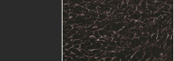 Liner DEL noir Liner DEL noir