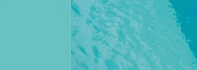 Liner 75/100e sur mesure TRADIPOOL vert caraïbes Liner 75/100e sur mesure TRADIPOOL vert caraïbes