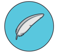 Dolphin E10 de Maytronics, léger