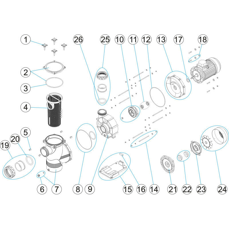 Pièces détachées pour Pompe BIG DENVER TRI 3 - 4 - 5,5 CV