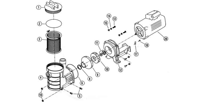 Schema vue eclatee pompe Pentair Eagle 2Cv triphasee