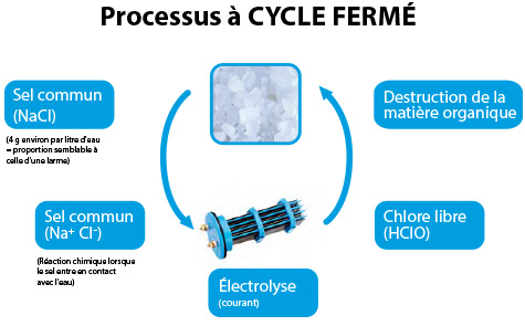 La cellule d'électrolyse d'une piscine au sel