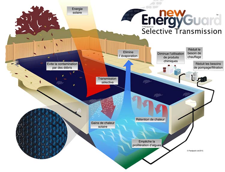 Schema New Energy Guard