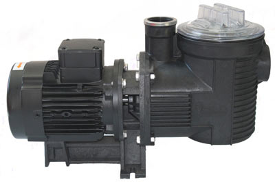 Pompe de filtration Pentair Eagle Pompe de filtration Pentair Eagle