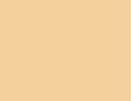 PVC armé Renolit Alkorplan Xtreme coloris Sahara PVC armé Renolit Alkorplan Xtreme coloris Sahara