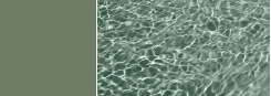 PVC armé vert argile RESIST 150 PVC armé vert argile RESIST 150