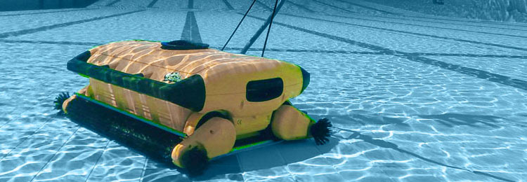 Robot piscine publique dolphin wave 300 xl