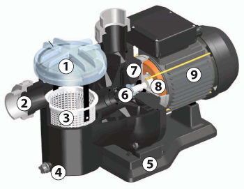 Schéma pompe filtration Tradipool Schéma pompe filtration Tradipool