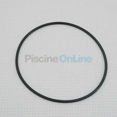 Joint pour collier de filtres - Ø interieur 161.4 Épaisseur 5.1 (E02011134)