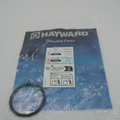 Joint de diffuseur pour pompe Hayward RS II DI (SPX4000Z1DI)