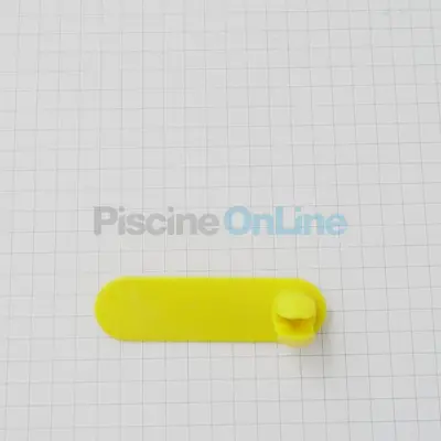 Loquet de couvercle de fond pour robots Dolphin (9982330)