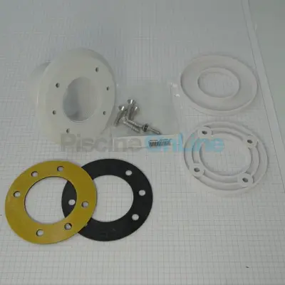 Prise balai Hayward pour piscines parois Liner (3331)