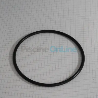 Joint de couvercle pour pompe Aquasphere VSP (4405011271)