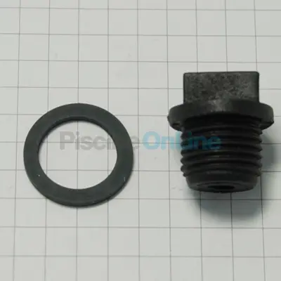 Bouchon 1/4' pour vanne ancien modèle 1'1/2 - 2'  - nouveau modèle 1'1/2 - 2' - 2'1/2 (4404120109)