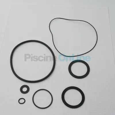 kit joints étanchéité pour pompes 0.5 à 2 CV Astral Victoria, Victoria Plus, Sprint (4405010103)