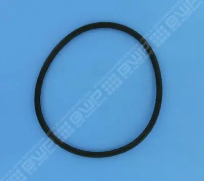 Joint de couvercle 152x7 mm PPE Europa, Glass Plus, Starplus, Superplus, Malawi, Proline, Swimflo HGS